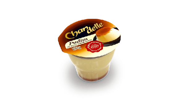 Pudim Chandelle 100g