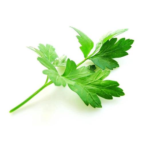 Salsa Nattusul 15g