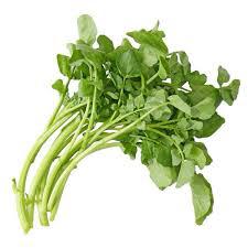 AGRIAO IN NATURA 1UN