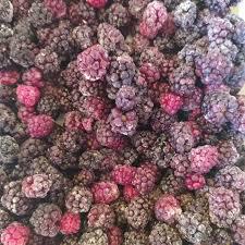 AMORA CONGELADA MAURO FRUTAS 1KG