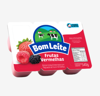 Bebida Lac Bom Leite Frutas Vermelhas 540G