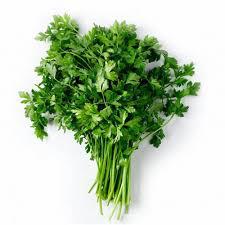 COENTRO IN NATURA JFC 1UN