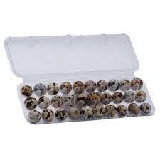 OVO DE CODORNA GRANJA VIVI 30UN