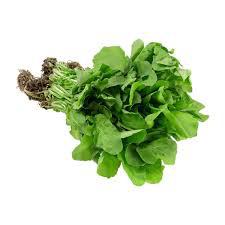 RUCULA IN NATURA JFC 1UN