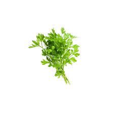 SALSA IN NATURA JFC 1UN