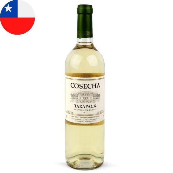 Vinho Tarapaca Cosecha Sauvig Blanc Chi  750ML