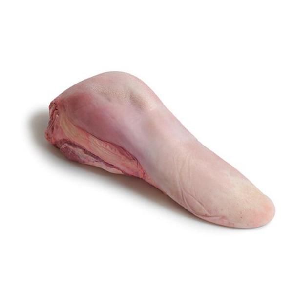 LINGUA BOVINA CONGELADO KG