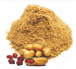 PACOCA