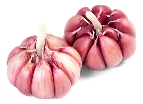 ALHO NACIONAL ROXO