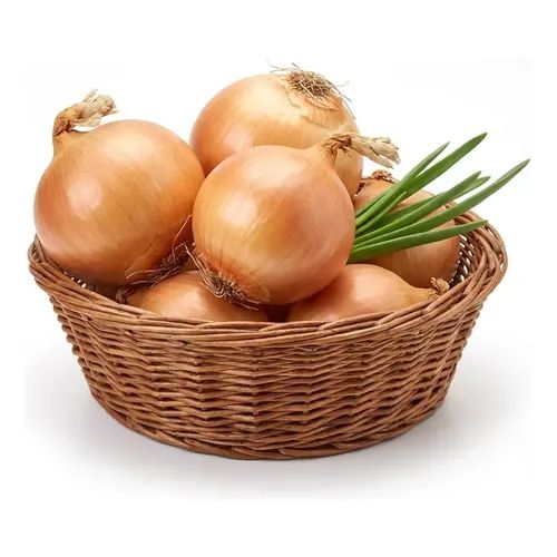 CEBOLA NACIONAL QUILO