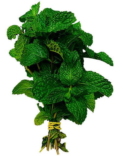 HORTELA UNIDADE