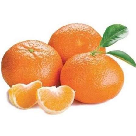 LARANJA MURCOTT KG