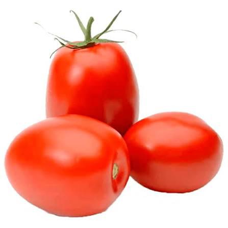 TOMATE ITALIANO KG QUILO