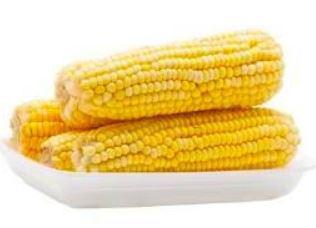 MILHO VERDE LUA NOVA BANDEJA-3 UN