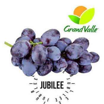 UVA JUBILEE GRAND VALLE BANDEJA 500G