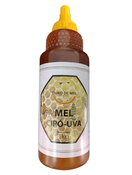 MEL OURO DE MEL 1KG