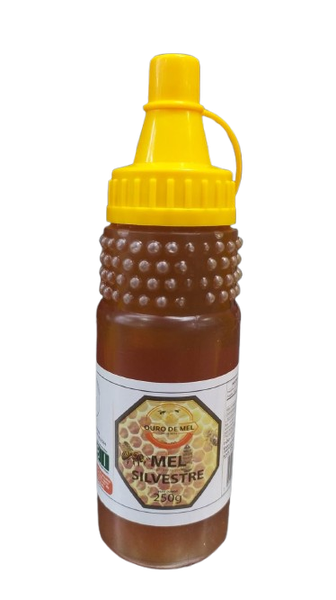 MEL OURO DE MEL 250G