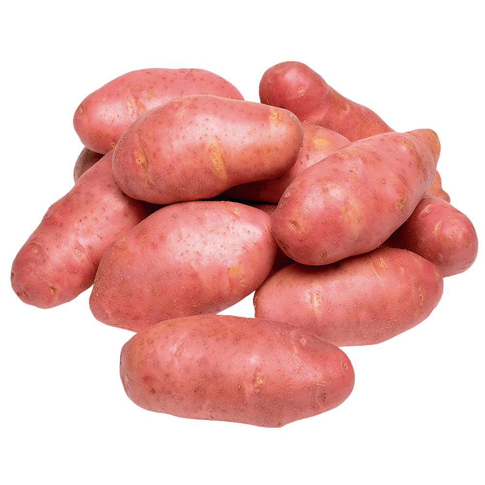 HORTI - BATATA INGLESA ROSA KG
