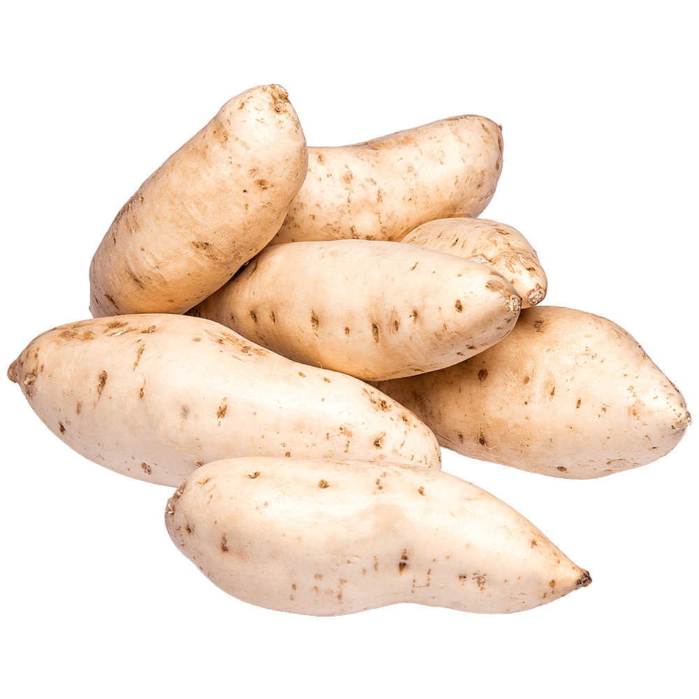 HORTI - BATATA DOCE BRANCA KG
