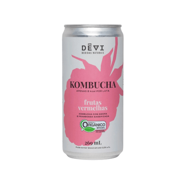 BEB KOMBUCHA DEVI 269ML, F VERMELHAS