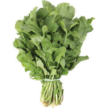 HORTI - RUCULA MC