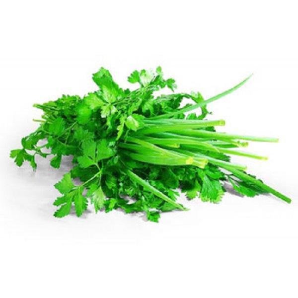 HORTI - TEMPERO VERDE MC