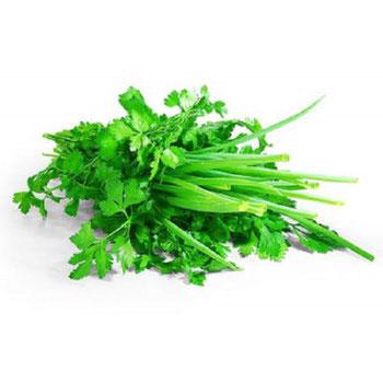 HORTI - TEMPERO VERDE MC