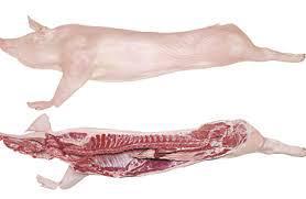 AÇOUGUE - LEITOA QUARTO TRASEIRO (KG) 