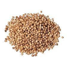 COENTRO EM GRAOS GRANEL (KG) 