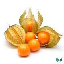 HORTIFRUTTI PHYSALIS PCT 100GR 