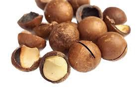 MACADAMIA COM CASCA GRANEL (KG) 