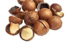 MACADAMIA COM CASCA GRANEL (KG) 