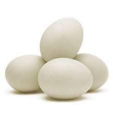 OVO BRANCO GRANDE DIONISIO CARTELA 12UN 