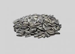 SEMENTE DE GIRASSOL COM CASCA 11MM GRANEL (KG)