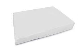 TOALHA BANDEJA BOM APETITE BRANCA PCT 500 UN. 