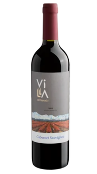VINHO ARGENTINO VILLA DEL NEVADO VD 750ML CARBERNET SAUVIGNO 