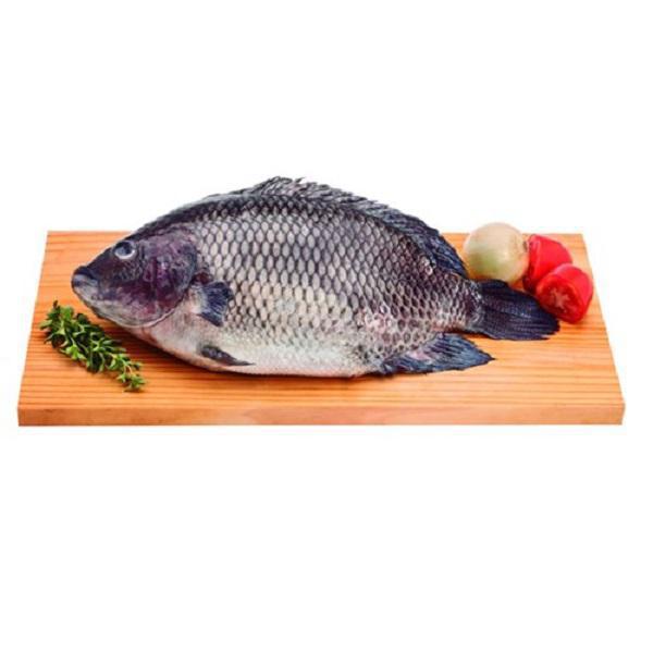 PEIXE CARA KG