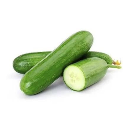 PEPINO KG