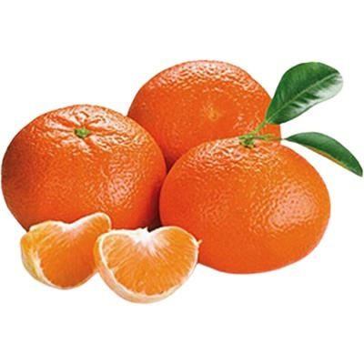TANGERINA IMPORTADA KG