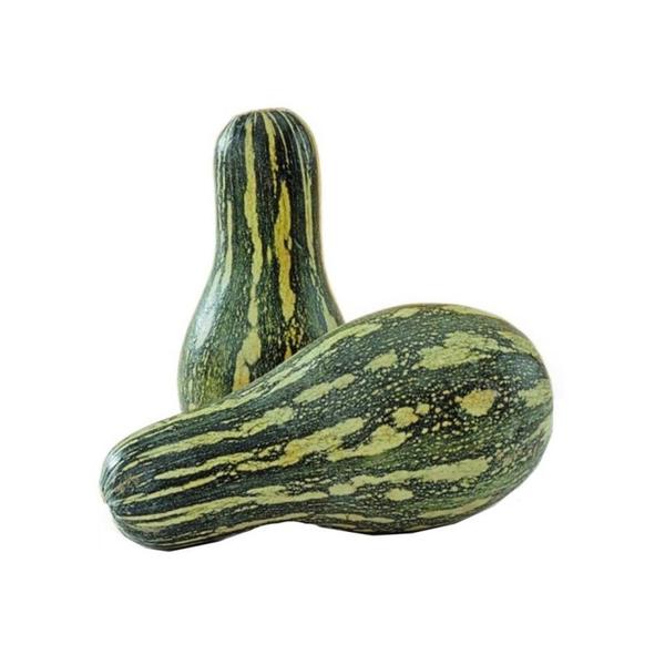 Abobrinha Paulista Verde Kg