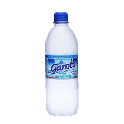 Agua Min.Garoto S/Gas 500ml