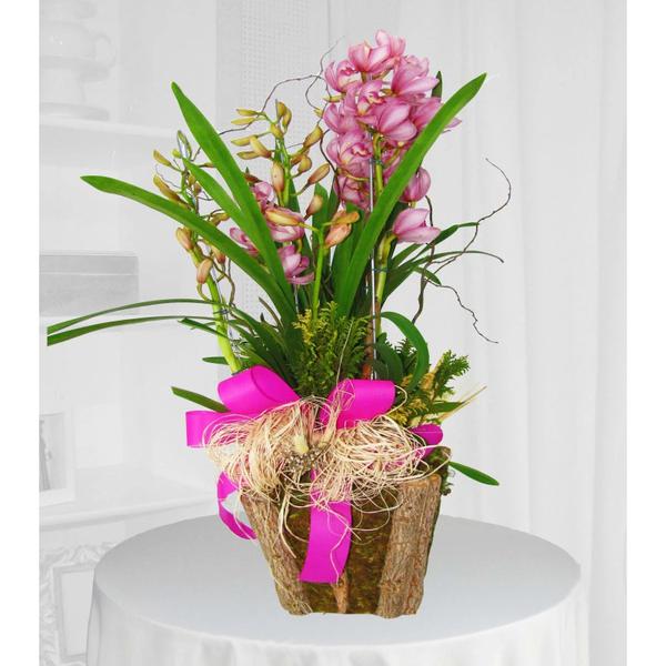 Cachepo Flor Cymbidium  Ref.3777