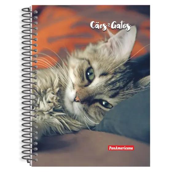 Cad.Panamericana Cd 10mt 160f Caes Gatos