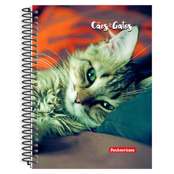 Cad.Panamericana Cd 12mt 168f Caes Gatos