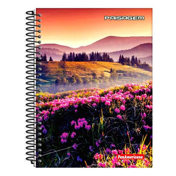 Cad.Panamericana Cd 1mt 80f Paisagem