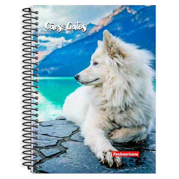 Cad.Panamericana Cd 20mt 280f Caes Gatos