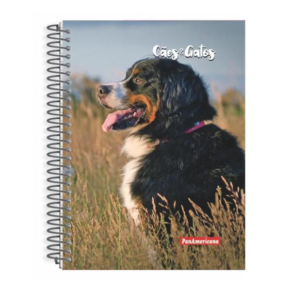 Cad.Panamericana Cost.1/4 96f Caes & Gatos