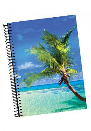 Cad.Panamericana Univ.1mt 96f Tocarry