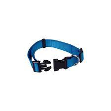 Coleira Cachorro Mor Azul Tam.M