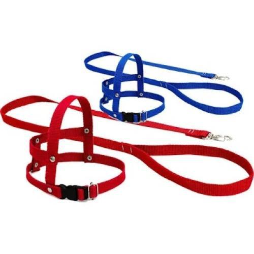 Conj.Guia C/Peitoral Especial N2 R.753